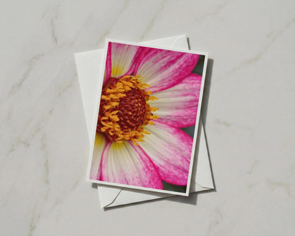 Pink Dahlia Flower Card, Macro Floral A6 Greeting Card, Garden Bloom, Botanical