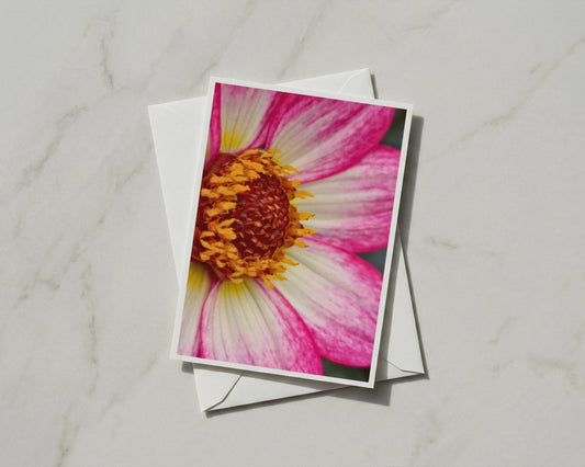 Pink Dahlia Flower Card, Macro Floral A6 Greeting Card, Garden Bloom, Botanical