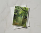Woodland River Card, Lush Green Trees, Nature Photography A6 Greeting Card