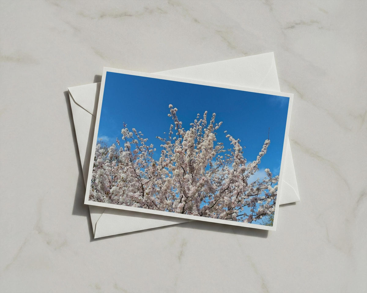 Cherry Blossom Card, White Blossom Blue Sky, Spring Flower A6 Greeting Card with Envelope