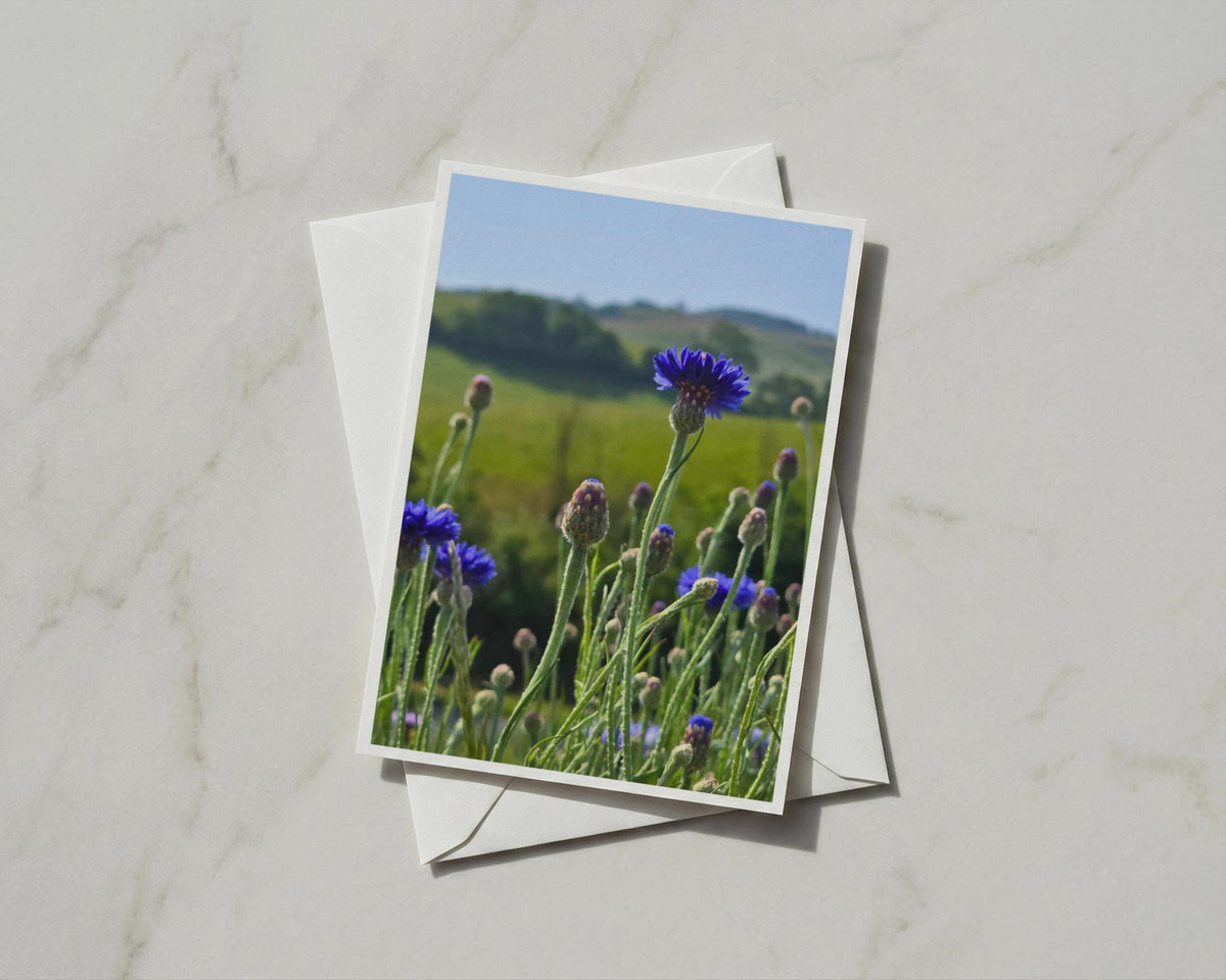 Cornflower Blue Wildflower Card, Summer Meadow Nature Card, Countryside Floral Greeting Card