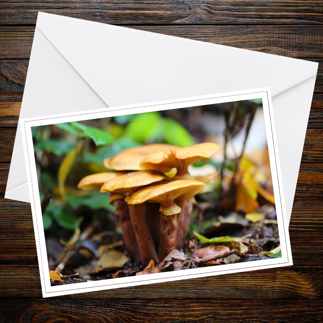 Honey fungus Fungi Greeting Card | Botanical Woodland Mushroom Art | Nature-inspired Note Card for Foragers & Wildlife Enthusiasts