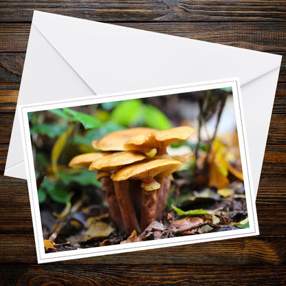 Honey fungus Fungi Greeting Card | Botanical Woodland Mushroom Art | Nature-inspired Note Card for Foragers & Wildlife Enthusiasts