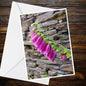 Pink Foxglove A6 Greeting Card — Nature Photography Summer Flower Card, Blank Inside, 250gsm Matt, UK Handmade
