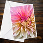 Pink & Cream Dahlia Greeting Card, Magenta Highlights — A6 Photo | Summer Flower Collection