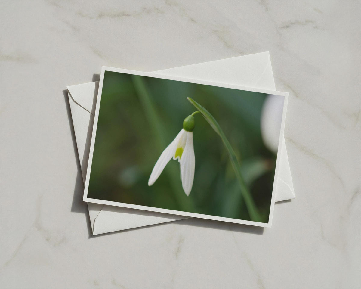 Snowdrop Flower Card, White Botanical Greeting Card, Spring Garden, Blank Inside
