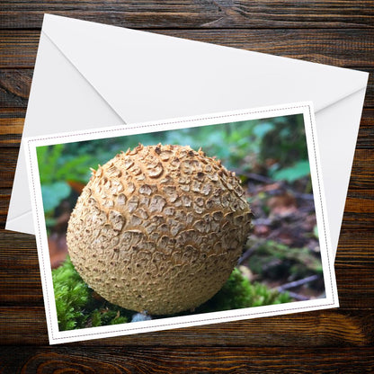 Common earthball mushroom greeting card, fungi botanical art, woodland scene, nature photography, eco friendly paper, whimsical forest art