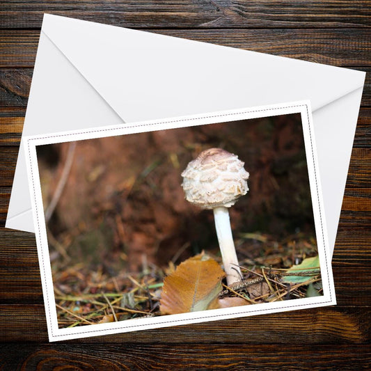 Shaggy Parasol Fungi Greeting Card | Botanical Mushroom Illustration | Nature Lover Gift | Woodland Wildlife | Eco Friendly Card