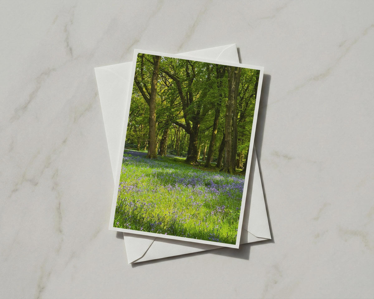 Bluebell Wood Card, Spring Forest Greeting Card, Ancient Trees, Nature Card
