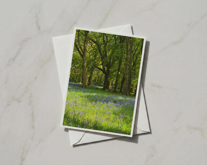 Bluebell Wood Card, Spring Forest Greeting Card, Ancient Trees, Nature Card