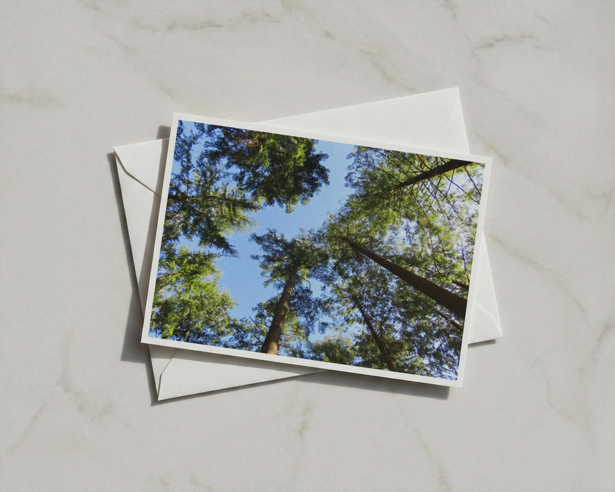 Forest Canopy Looking Up Tree Poster, Woodland Nature Framed-Print, Green Trees Blue Sky Wall Art, Nature Lover Gift