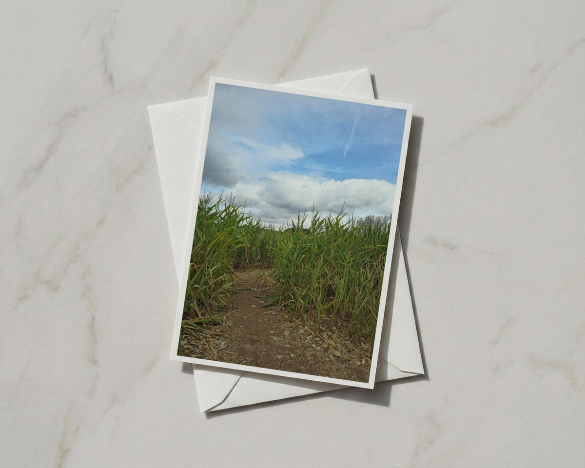Maize Field Path Card, Corn Field Nature Photography, Rural Countryside Greeting Card