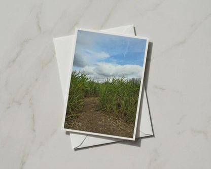 Maize Field Path Card, Corn Field Nature Photography, Rural Countryside Greeting Card