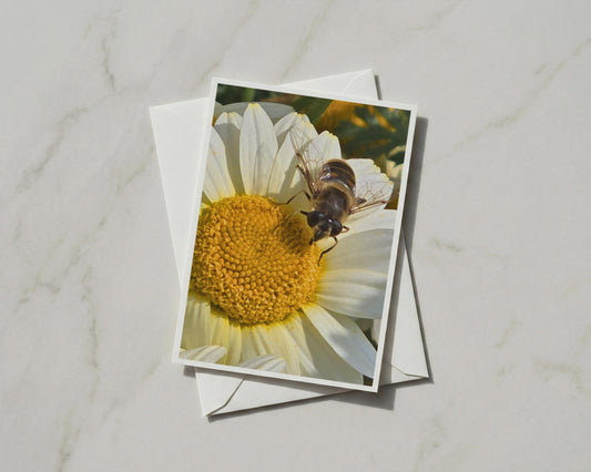 Hoverfly on Daisy Card, Bee Wildlife A6 Greeting Card, Nature Garden Insect