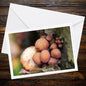 Velvet Shank Fungi Greeting Card | Botanical Mushroom Stationery | Nature Lover Gift | Woodland Wildlife, Eco Friendly Card