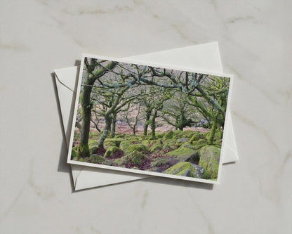 Ancient Mossy Oak Woodland Poster, Dartmoor Forest Framed-Print, Moss Covered Rocks Trees Nature Wall Art, British Landscape Print