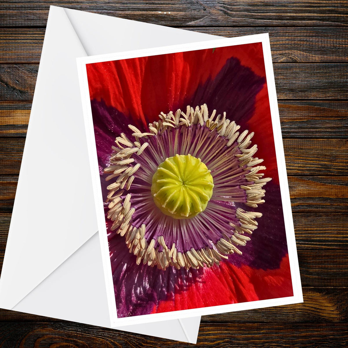 Red Poppy Macro Photo Card – A6 Floral Greeting Card, Summer Flower Collection