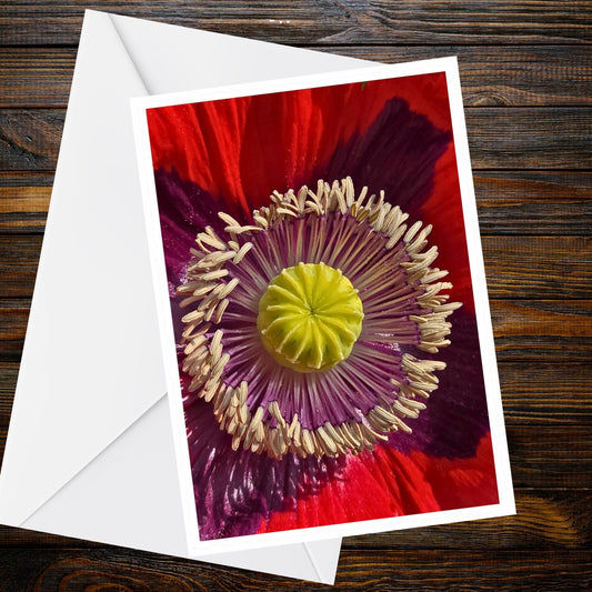 Red Poppy Macro Photo Card – A6 Floral Greeting Card, Summer Flower Collection