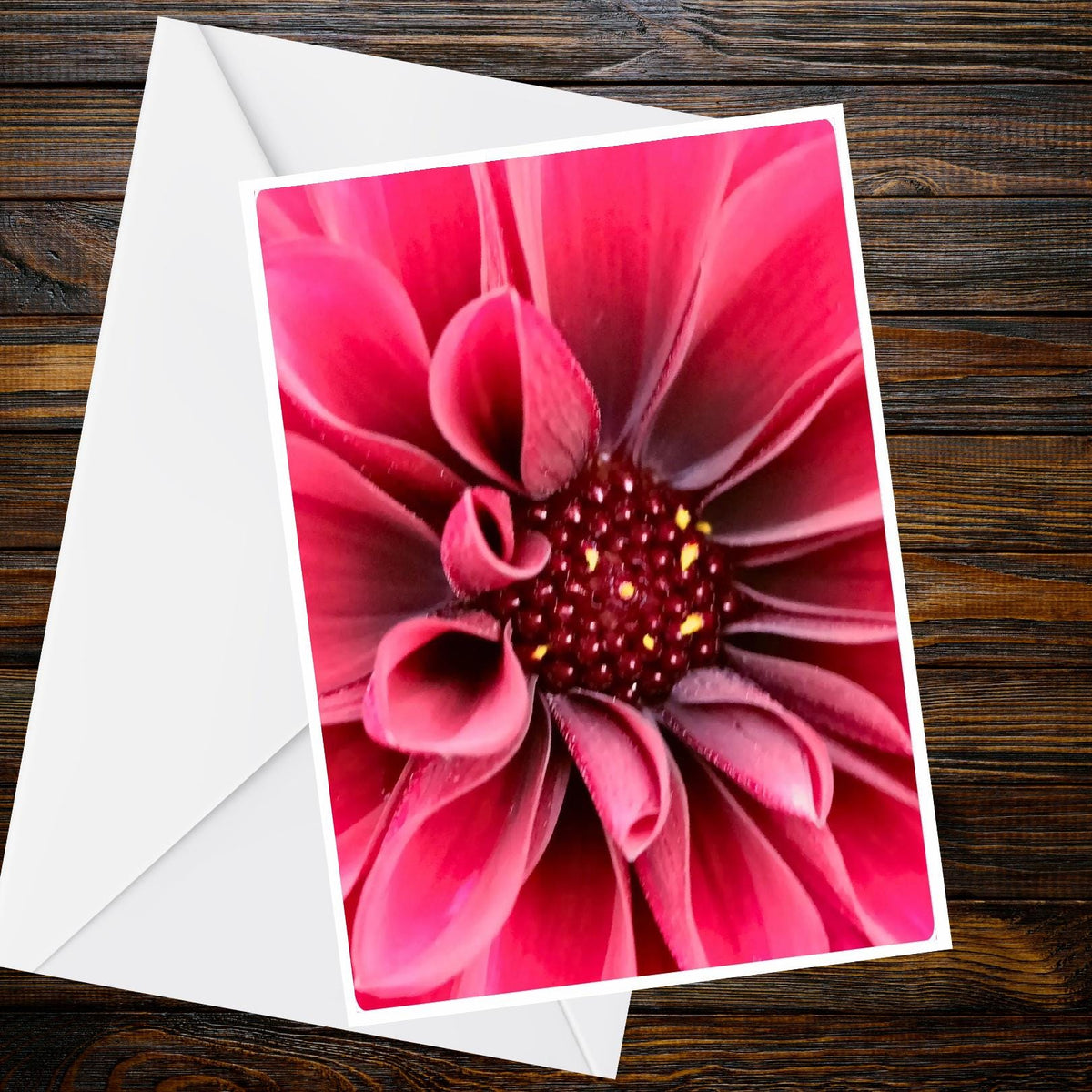 Dahlia Deep Magenta Pink Greeting Card - Close-Up Photo | Summer Flower Collection