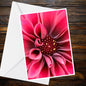 Dahlia Deep Magenta Pink Greeting Card - Close-Up Photo | Summer Flower Collection