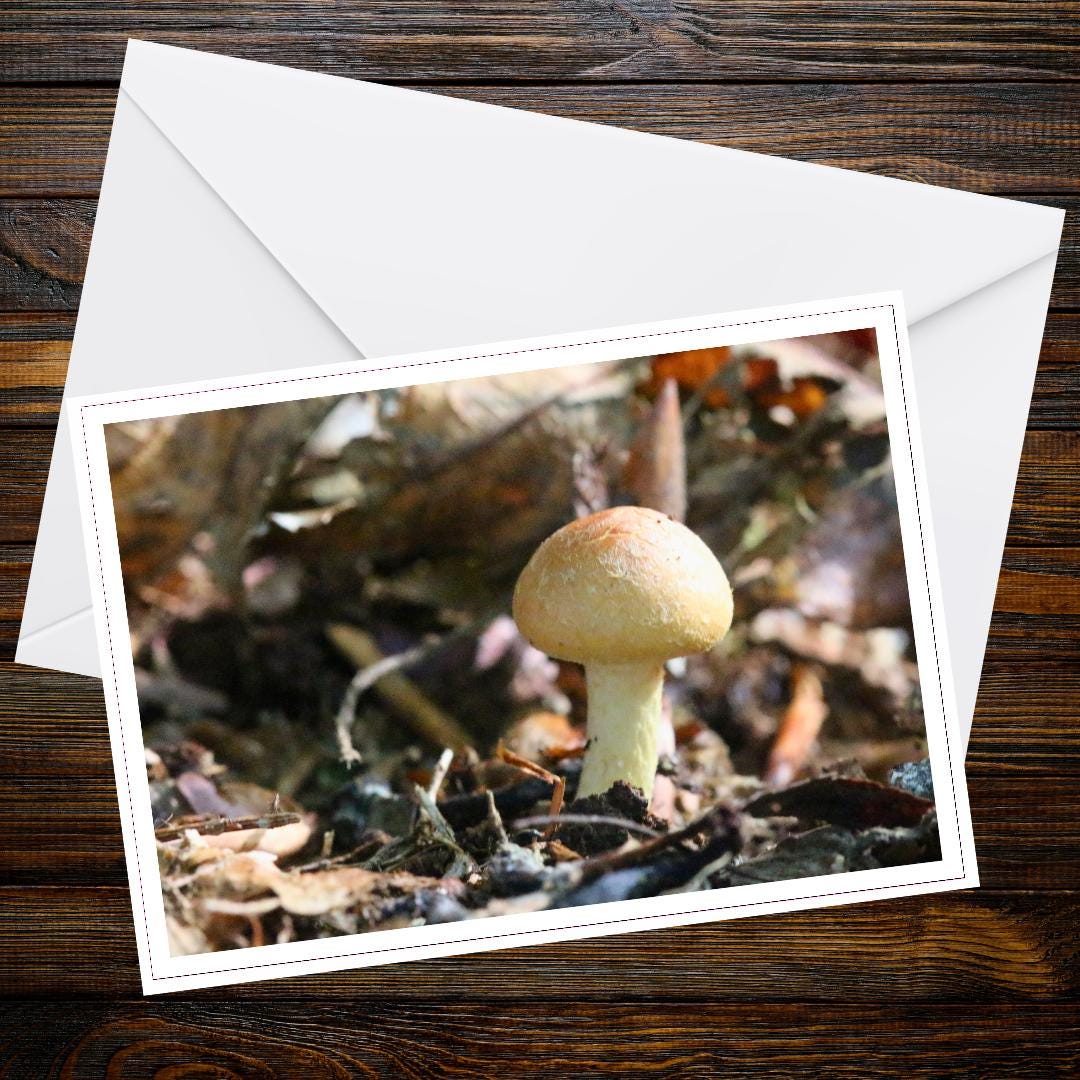 Woodland Mushroom Greeting Card | Botanical Amanita Flavoconia Illustration | Nature-Inspired Wild Mushroom Note Card for Forest Enthusiasts