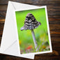 Shaggy Ink Cap Fungi Greeting Card, Mushroom Nature Card, Woodland Botanical Illustration, All Occasion FSC Certified Card