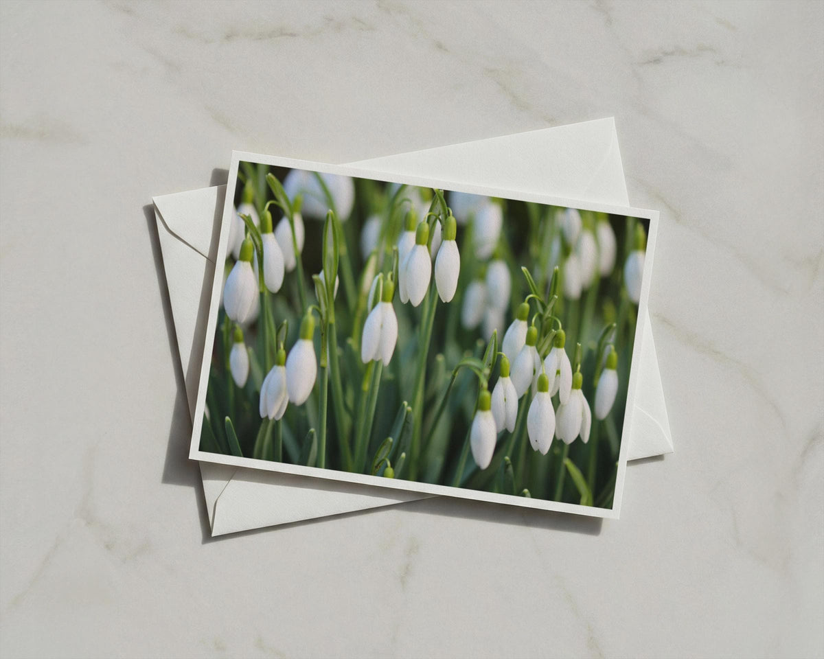 Snowdrop Flower Card, White Spring Floral A6 Card, Botanical Garden Card with Envelope