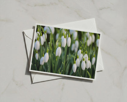 Snowdrop Flower Card, White Spring Floral A6 Card, Botanical Garden Card with Envelope