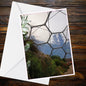Eden Project Biome Interior A6 Card – Misty Light Dome, Lush Foliage (Inspired by Eden)