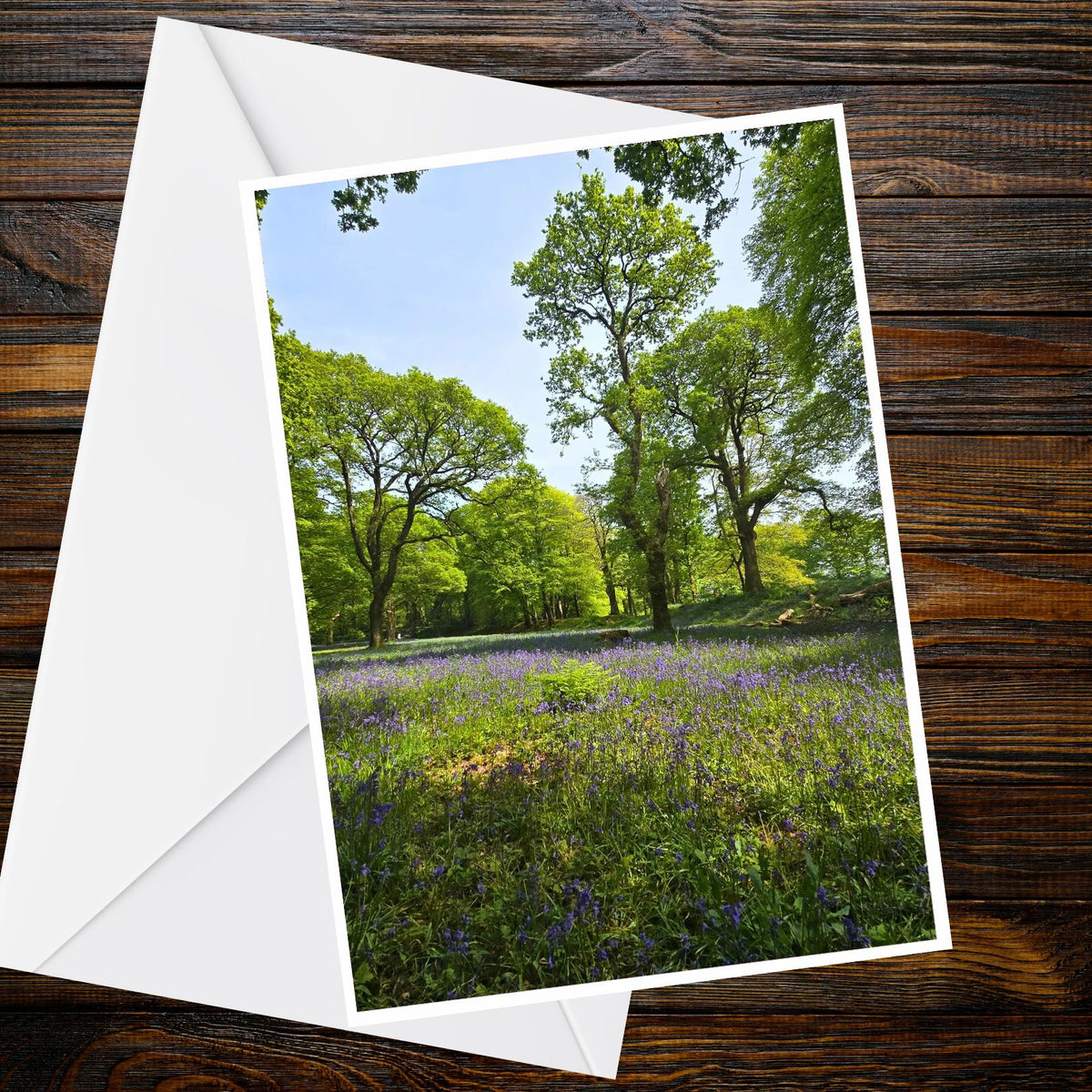 Bluebell Woodland A6 Greetings Card - Nature Photography Spring Bluebells, Blank Floral Card