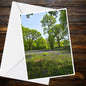 Bluebell Woodland A6 Greetings Card - Nature Photography Spring Bluebells, Blank Floral Card