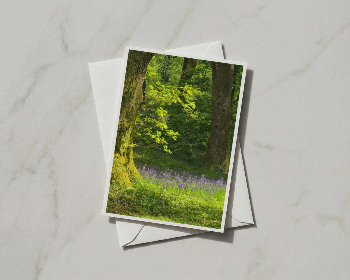 Bluebell Wood Greeting Card, Spring Forest Nature Card, Trees Woodland A6 Card