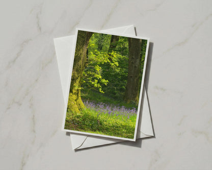 Bluebell Wood Greeting Card, Spring Forest Nature Card, Trees Woodland A6 Card