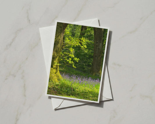 Bluebell Wood Greeting Card, Spring Forest Nature Card, Trees Woodland A6 Card