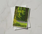 Bluebell Wood Greeting Card, Spring Forest Nature Card, Trees Woodland A6 Card