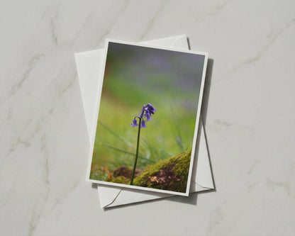 Bluebell Flower Card, British Woodland Nature, Purple Spring Floral A6 Greeting Card