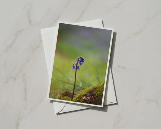 Bluebell Flower Card, British Woodland Nature, Purple Spring Floral A6 Greeting Card