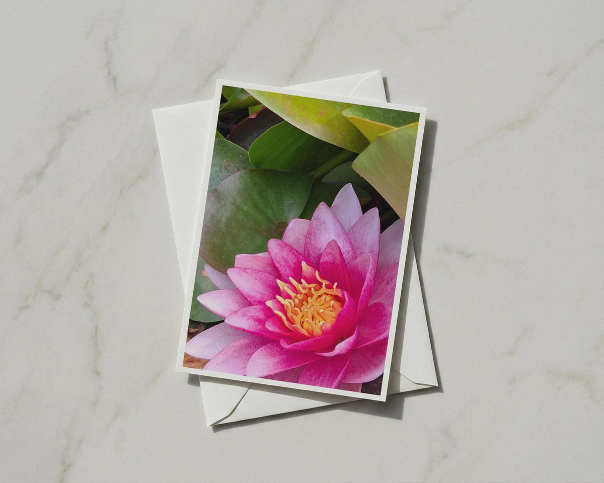 Pink Water Lily Card, Lotus Flower Greeting Card, Botanical Floral A6 Card with Envelope