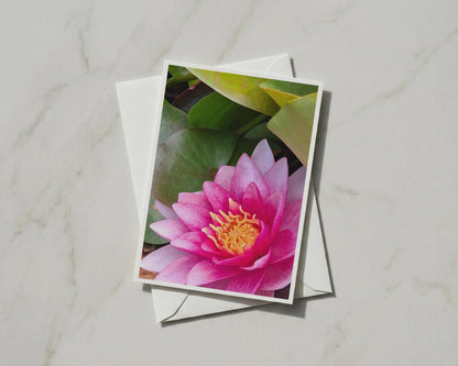 Pink Water Lily Card, Lotus Flower Greeting Card, Botanical Floral A6 Card with Envelope