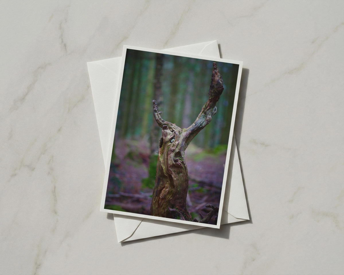 Enchanted Forest Tree Stump Card, Woodland Nature Photography, Mystical Green