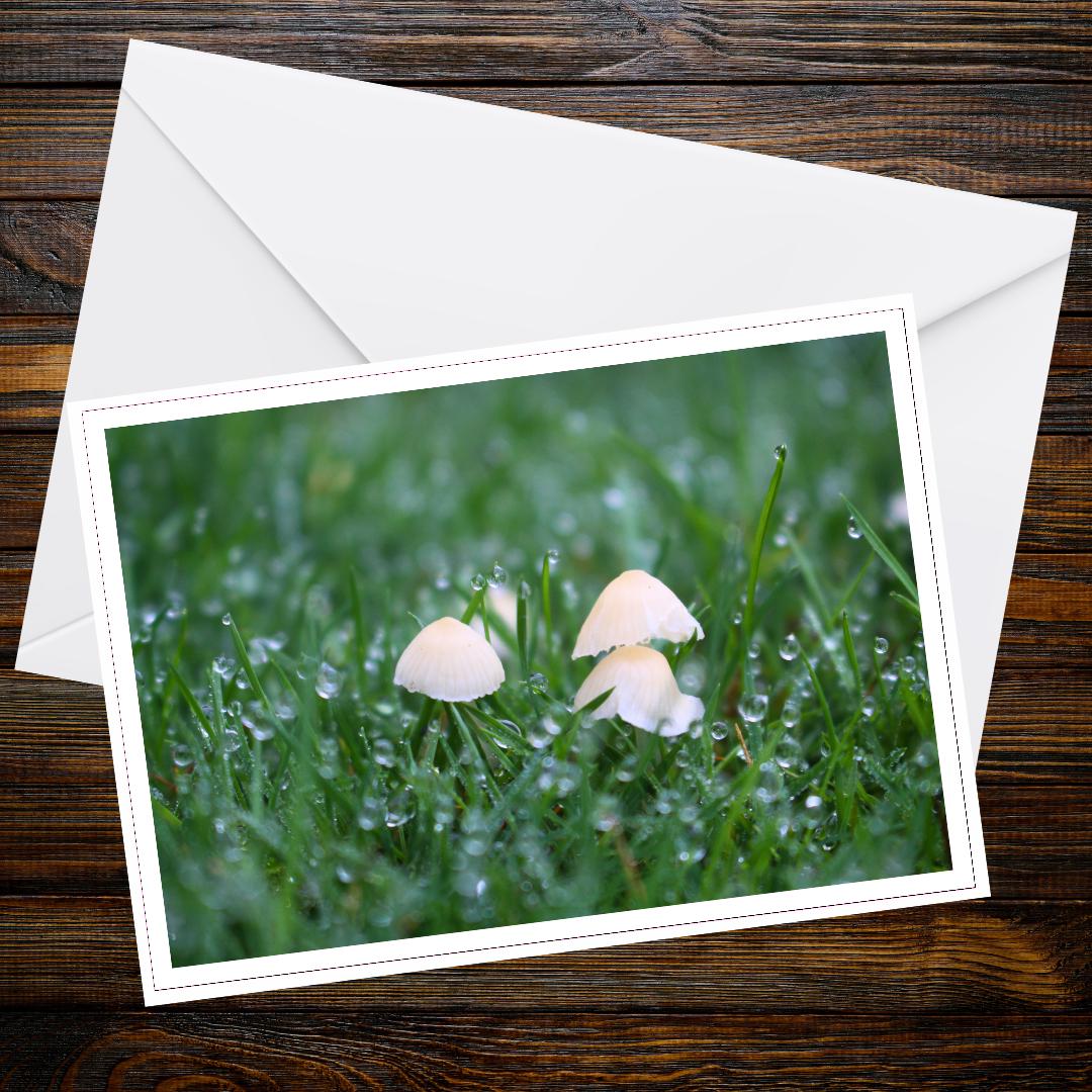 Pleated Inkcap Greeting Card, Botanical Mushroom Art, Woodland Nature Inspired Stationery, Eco Friendly Fungi Illustration, Gift Idea