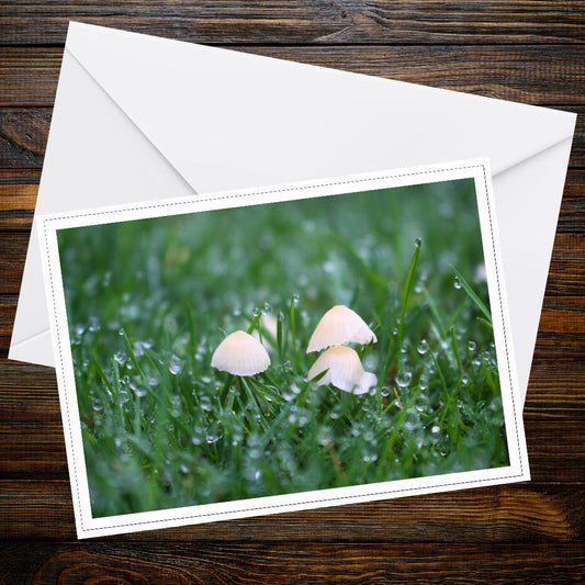 Pleated Inkcap Greeting Card, Botanical Mushroom Art, Woodland Nature Inspired Stationery, Eco Friendly Fungi Illustration, Gift Idea