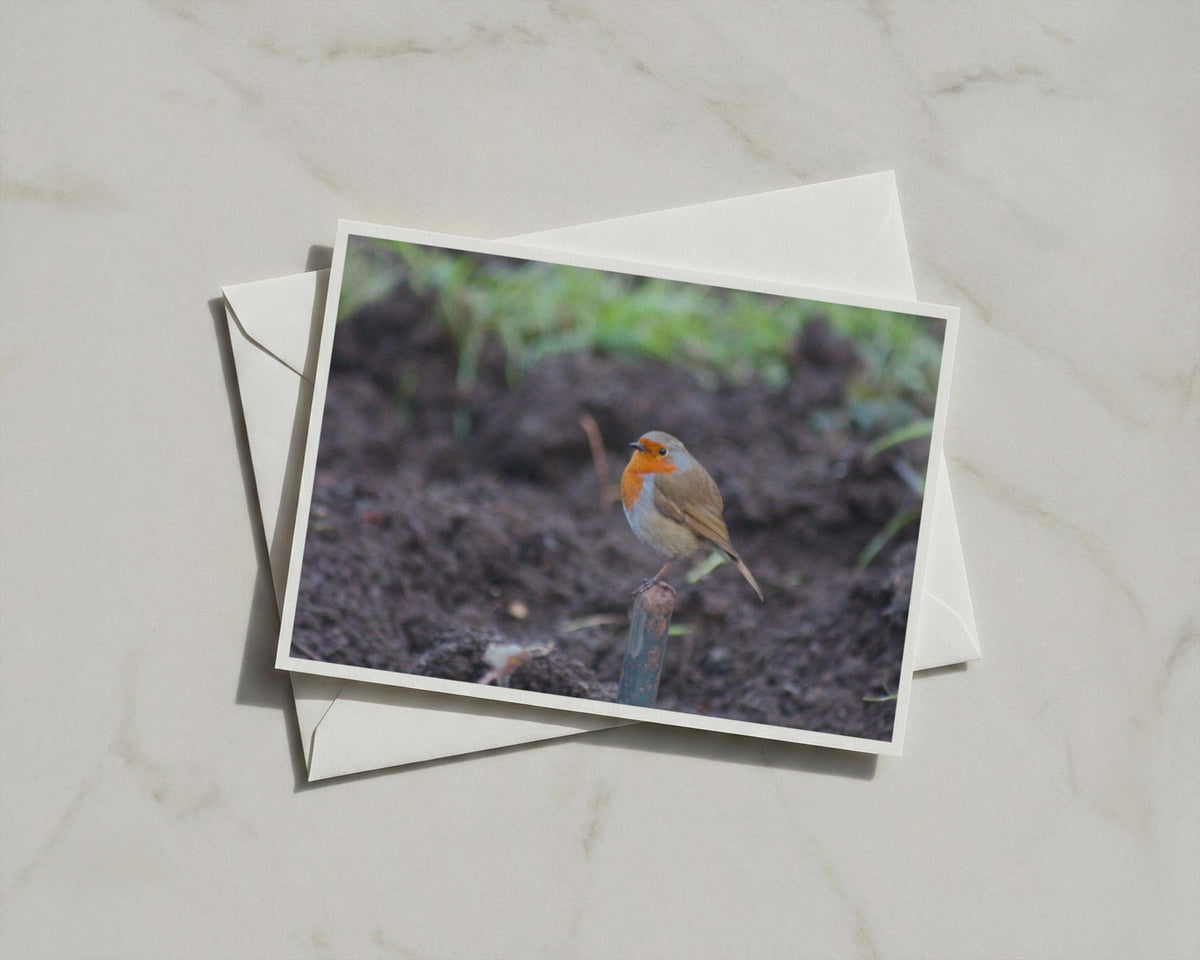 Robin Redbreast Garden Card, British Wildlife Bird Photography, Blank A6 Card