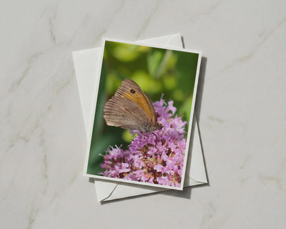 Meadow Brown Butterfly Card, Wildlife Nature Photography, Pink Flower Garden