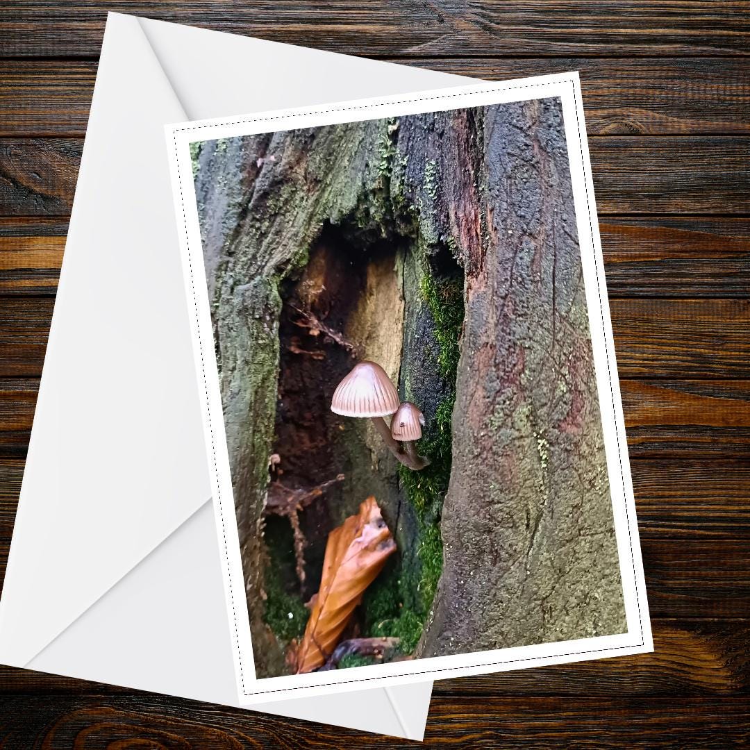 Fairy inkcap Fungi Greeting Card, Woodland Nature Card, Mushrooms Botanical Illustration, FSC Certified All Occasion Card, Mycology Gift