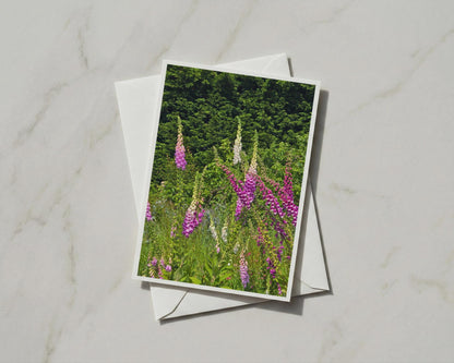 Foxglove Garden Card, Pink Purple Wild Flower A6 Card, British Cottage Garden Greeting Card