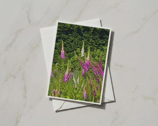 Foxglove Garden Card, Pink Purple Wild Flower A6 Card, British Cottage Garden Greeting Card