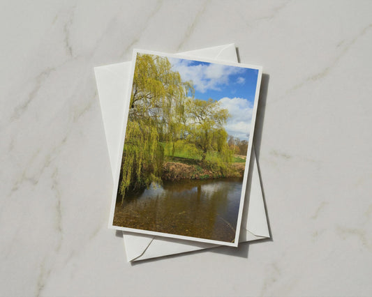 Weeping Willow Tree River Card, Spring Nature Greeting Card, Countryside Scene A6