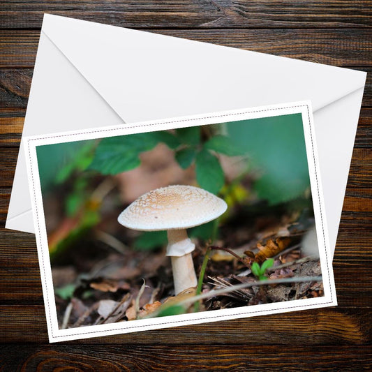 Blusher Fungi Greeting Card, Woodland Mushroom Art, Nature Inspired Stationery, Forest Life Card, Handmade Eco-Friendly Gift
