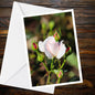 White Rose Greeting Card – Pale Blush Photo with Red Buds (A6)
